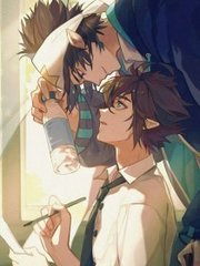 小红帽app直播平台官方